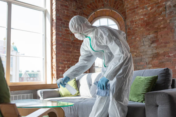 Mold Remediation for Rental Properties in Coalville, UT